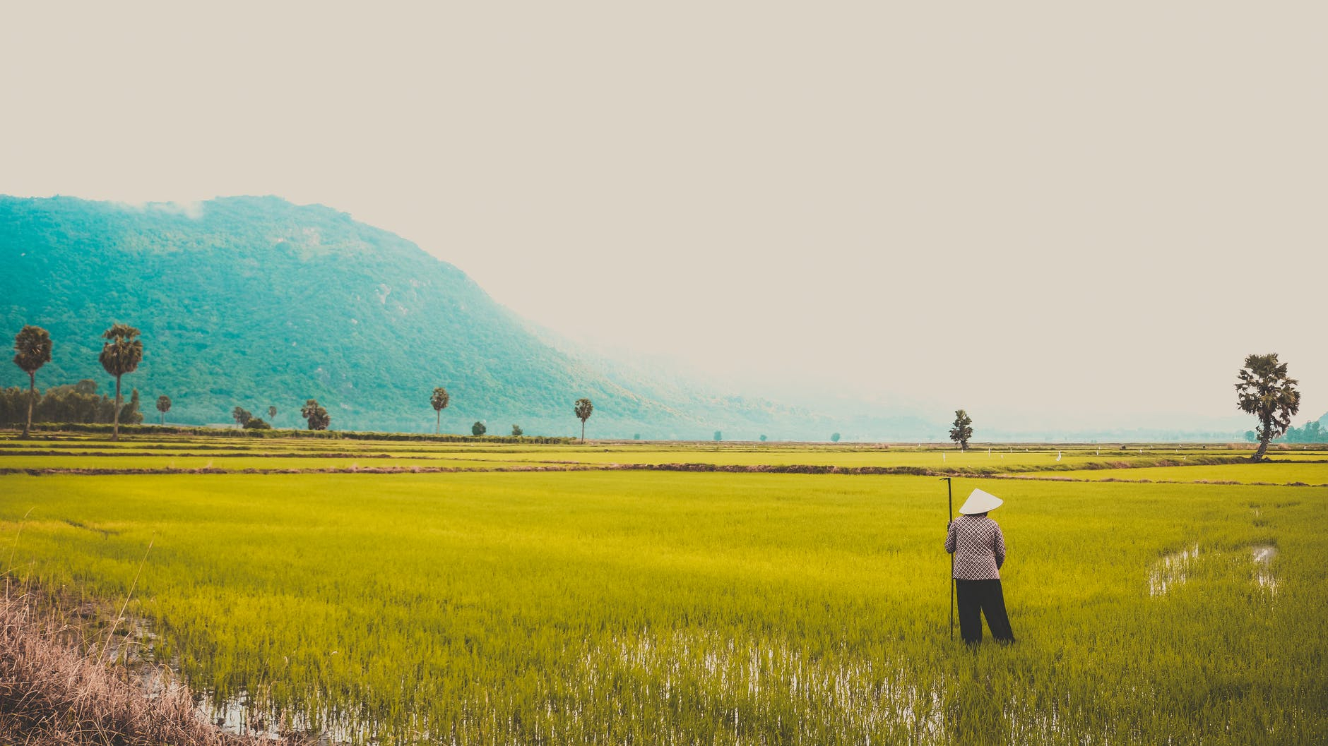 man standing on green grass field under white sky