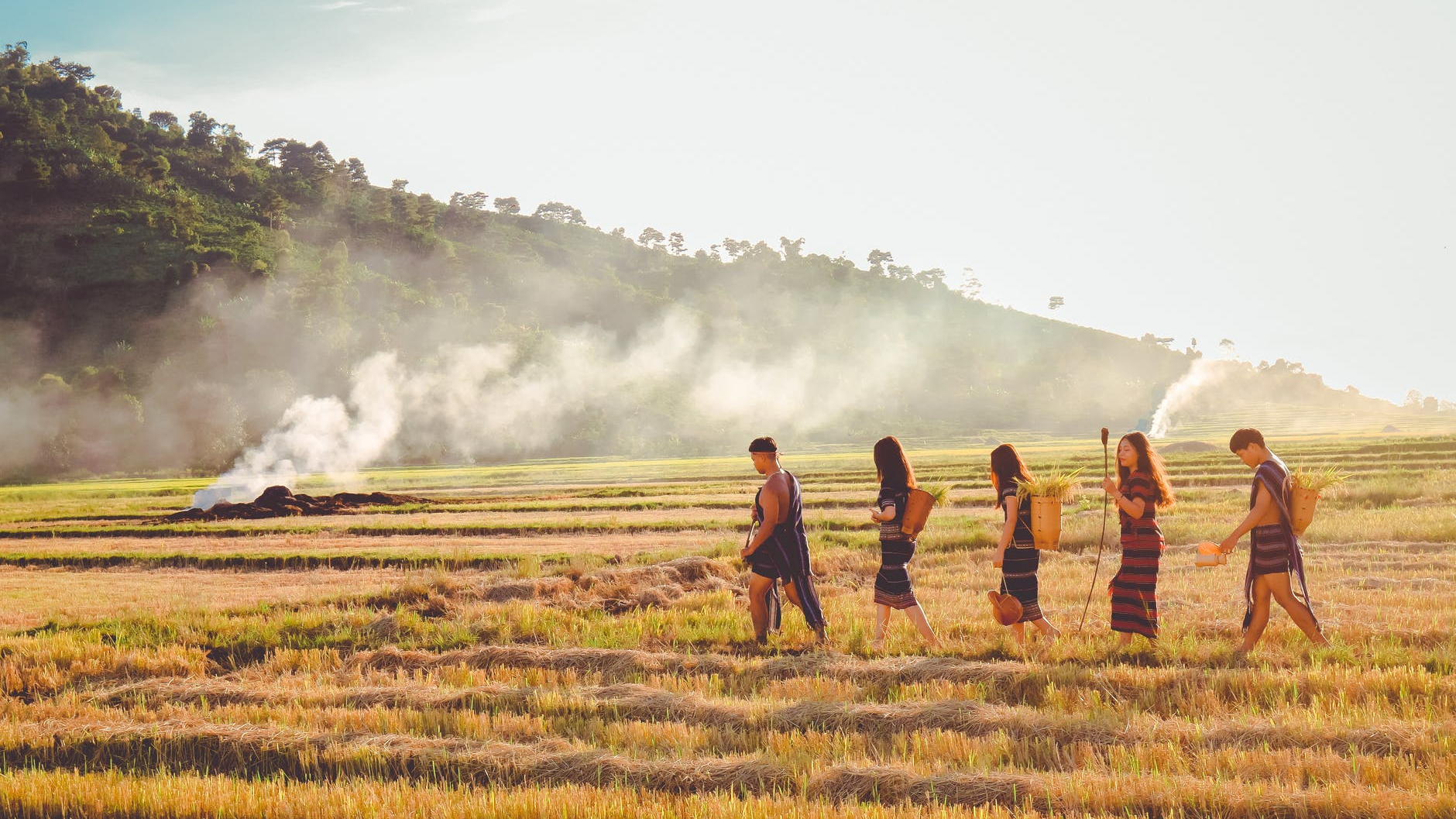five people walking on paddy