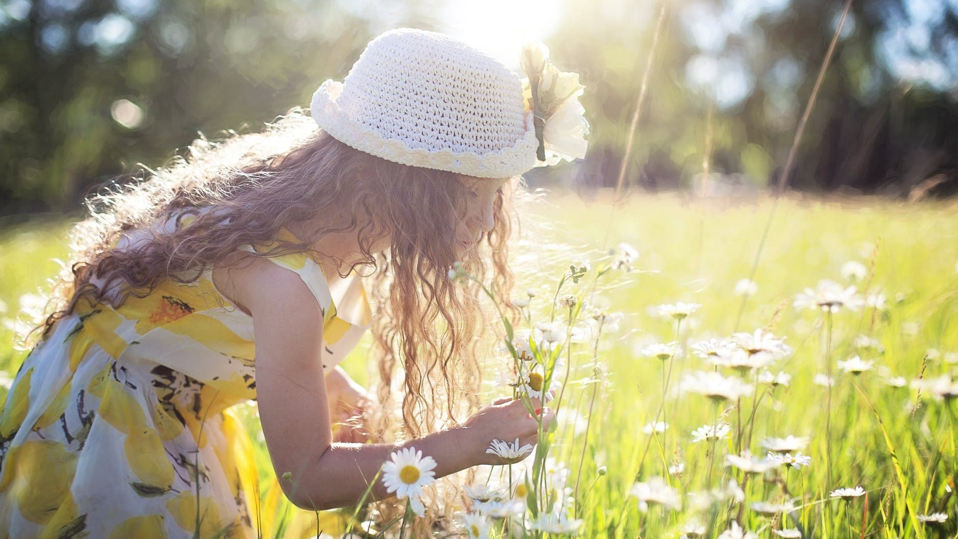 girl picking flowers