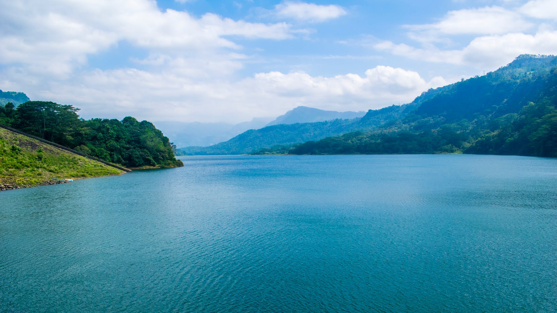 body of water surrounded by three trees