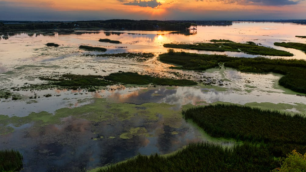 drone shot of a wetland