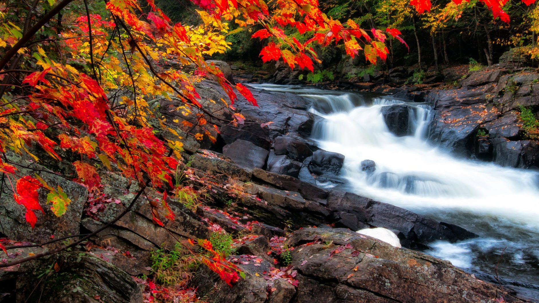 photo of waterfalls during fall season