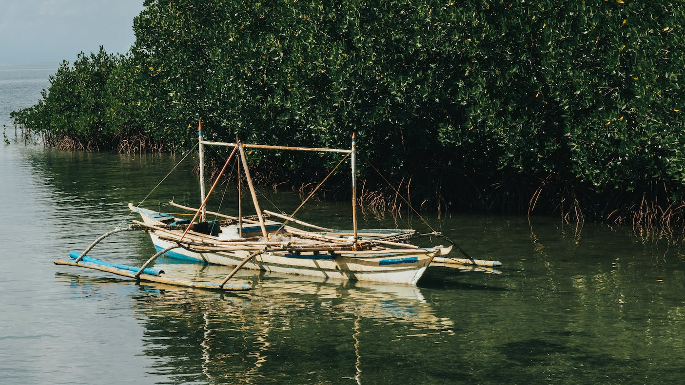 white boat on body of water